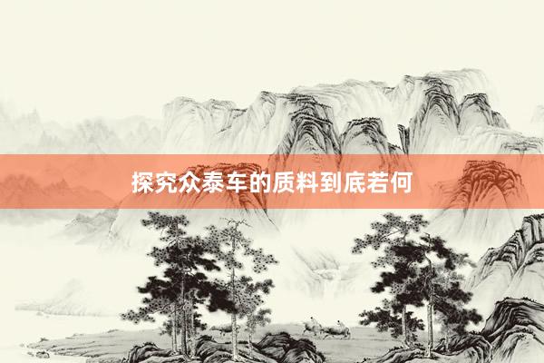 探究众泰车的质料到底若何